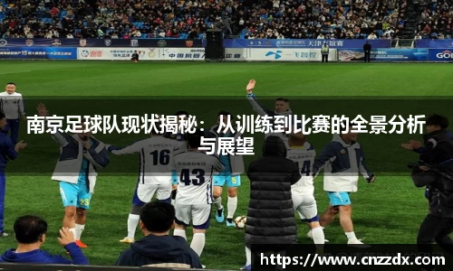 南京足球队现状揭秘：从训练到比赛的全景分析与展望
